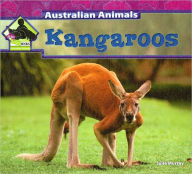 Kangaroos (Australian Animals Series) Julie Murray Author