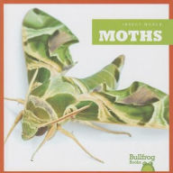 Moths Mari C. Schuh Author