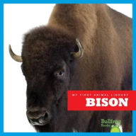 Bison (Bullfrog Books: My First Animal Library)