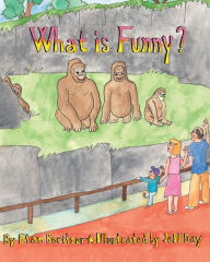 What is Funny? - Etan Boritzer