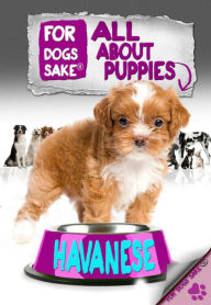 All About Havanese Puppies - Jenny Milbrook