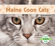 Maine Coon Cats - Meredith Dash