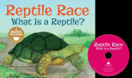 Reptile Race: What Is a Reptile?