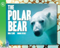 The Polar Bear Gina Cline Author