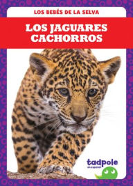 Los Jaguares Cachorros (Jaguar Cubs) Genevieve Nilsen Author