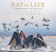 Bay of Life: From Wind to Whales Frans Lanting Author