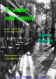 Il cammino nella tempesta: storie e misteri di un bar di provincia Mauro Guglielmi Author