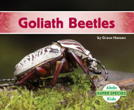 Goliath Beetles Grace Hansen Author