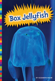 Box Jellyfish Elizabeth Raum Author