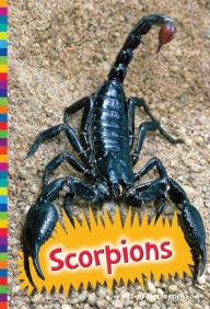 Scorpions Elizabeth Raum Author