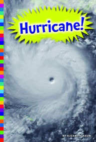 Hurricane! - Elizabeth Raum