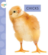 Chicks Anastasia Suen Author