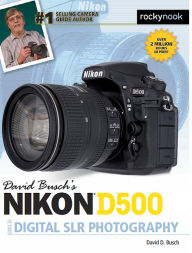 David Busch's Nikon D500 Guide to Digital SLR Photography David D. Busch Author