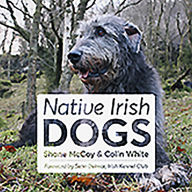 Native Irish Dogs Shane McCoy Author