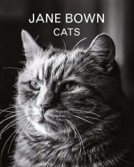 Jane Bown: Cats Jane Bown Author