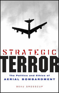 Strategic Terror: The Politics and Ethics of Aerial Bombardment - Beau Grosscup