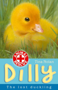 Dilly the lost duckling - Tina Nolan