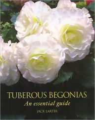 Tuberous Begonias: An Essential Guide Jack Larter Author