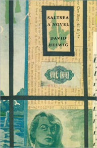Saltsea - David Helwig