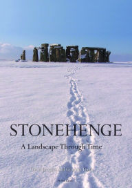 Stonehenge: A Landscape Through Time (Studies in the British Mesolithic and Neolithic, Band 2)