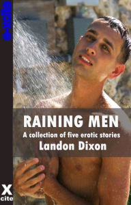 Raining Men: A collection of gay erotic stories - Landon Dixon
