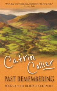 Past Remembering - Catrin Collier