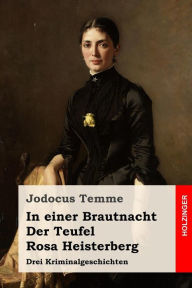 In einer Brautnacht / Der Teufel / Rosa Heisterberg: Drei Kriminalgeschichten - Jodocus Temme