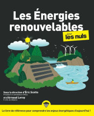 Les Ã©nergies renouvelables pour les Nuls, grand format edi8 Author