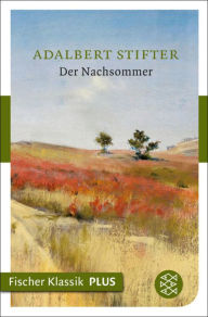 Der Nachsommer: Roman Adalbert Stifter Author