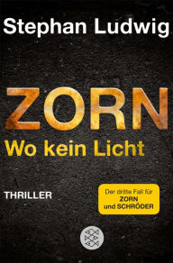 Zorn - Wo kein Licht: Thriller Stephan Ludwig Author