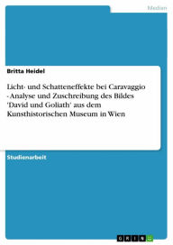 Licht- und Schatteneffekte bei Caravaggio - Analyse und Zuschreibung des Bildes 'David und Goliath' aus dem Kunsthistorischen Museum in Wien Britta He