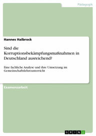 Sind die Korruptionsbekämpfungsmaßnahmen in Deutschland ausreichend?: Eine fachliche Analyse und ihre Umsetzung im Gemeinschaftslehreunterricht Hannes