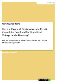 Has the Financial Crisis Induced a Credit Crunch for Small and Medium-Sized Enterprises in Germany?: Hat die Finanzkrise zu einer Kreditklemme fÃ¼r KM