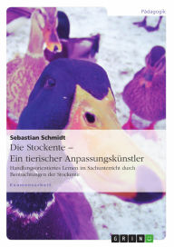 Die Stockente - ein tierischer Anpassungskünstler: Handlungsorientiertes Lernen im Sachunterricht durch Beobachtungen der Stockente Sebastian Schmidt