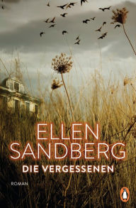 Die Vergessenen: Roman Ellen Sandberg Author