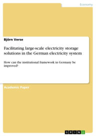 Facilitating large-scale electricity storage solutions in the German electricity system: How can the institutional framework in Germany be improved? - Björn Verse