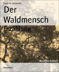 Der Waldmensch: ErzÃ¤hlung Friedrich GerstÃ¤cker Author