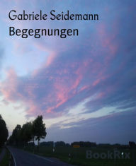 Begegnungen Gabriele Seidemann Author