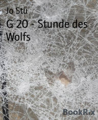 G 20 - Stunde des Wolfs: Homo homini lupus Thomas Hobbes Jo StÃ¼ Author