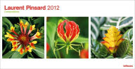 2012 Laurent Pinsard Slim Poster (Horizontal) Calendar - Laurent Pinsard