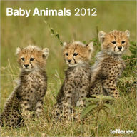 2012 Baby Animals Wall Calendar - teNeues Publishing Company