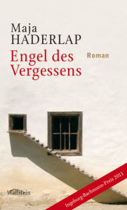 Engel des Vergessens: Roman Maja Haderlap Author
