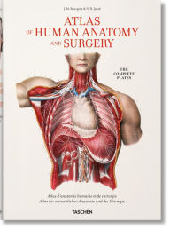 Bourgery. Atlas of Human Anatomy and Surgery Henri Sick Author
