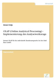 OLAP (Online Analytical Processing) - Implementierung des Analysewerkzeugs: Instant OLAP für die individuelle Kundenansprache bei der Emil Ratz GmbH A
