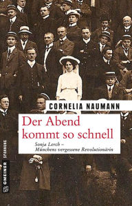 Der Abend kommt so schnell: Roman Cornelia Naumann Author