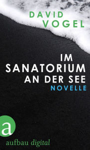 Im Sanatorium / An der See: Zwei Novellen David Vogel Author