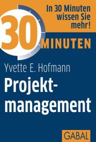 30 Minuten Projektmanagement Yvette E. Hofmann Author