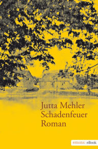 Schadenfeuer: Roman Jutta Mehler Author