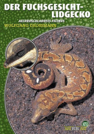Der Fuchsgesicht-Lidgecko: Aeluroscalabotes felinus Wolfgang Grossmann Author
