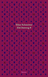 Zirl. Innweg 8: Erzählungen Elias Schneitter Author